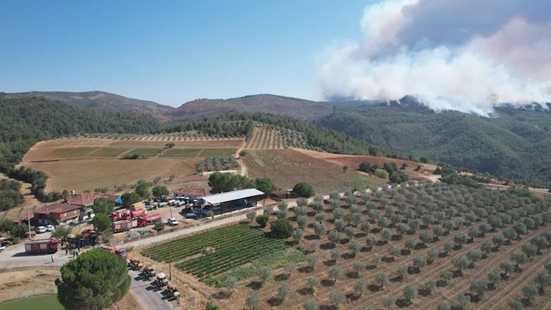ALEVLERİN ARASINDA, KAHRAMANCA MÜCADELE