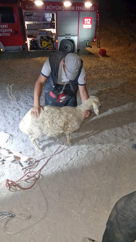 Büyükşehir İtfaiyesi’nden Gece Yarısı “Koyun Kurtarma” Çalışması