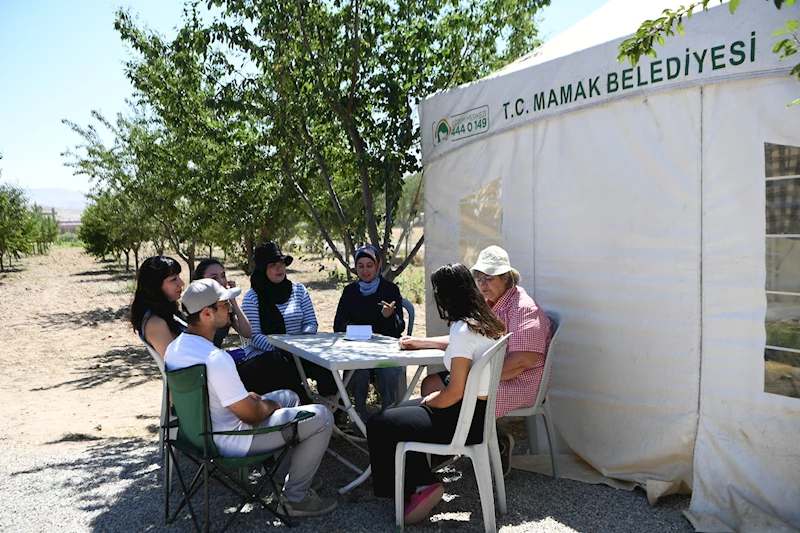 Kamp Tadında Staj