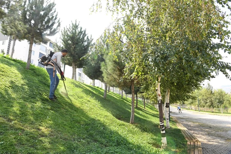 LALE VADİSİ PARKINDA HUMMALI ÇALIŞMA