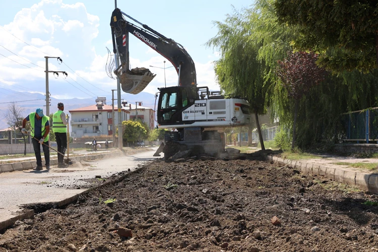 Belediye Eş Başkanımız Nejla Kum saha çalışmalarını denetledi.