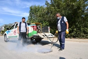 YALOVA BELEDİYESİ’NDEN HAŞERE VE ZARARLI KONTROLÜ İÇİN İLAÇLAMA ÇALIŞMALARI