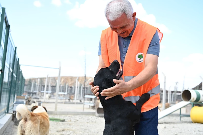 Başkan Veli Gündüz Şahin Hayvan Rehabilitasyon Merkezi’ni Ziyaret Etti