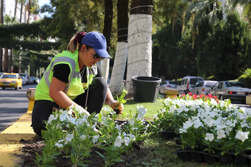 BAŞKAN ÇERÇİOĞLU KENTİ CUMHURİYETİN RENKLERİYLE SÜSLÜYOR