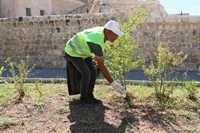 Midyat’ta Halkın Katılımıyla Temizlik Seferberliği