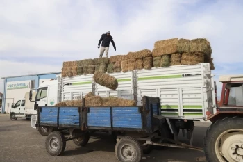 HAYVAN ÜRETİCİLERİNE BALYA DESTEĞİ