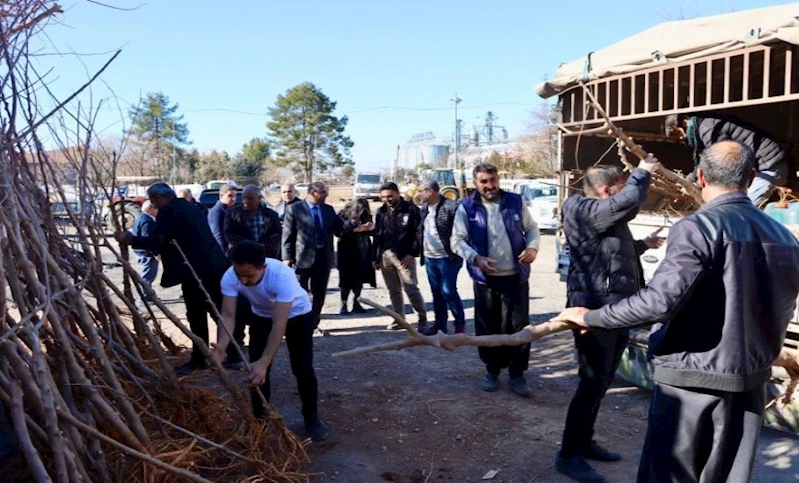 Büyükşehir Belediyesi