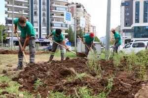 Diyarbakır Kavşakları Estetik Peyzajla Yenileniyor