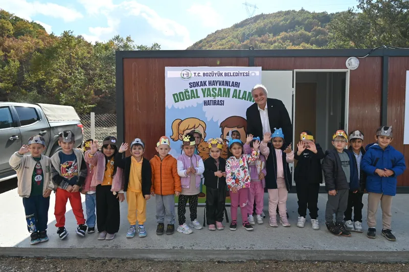 Bozüyük