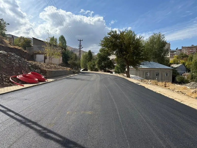 Muş Belediyesi Eşbaşkanı Sırrı Söylemez Dere Mahallesi