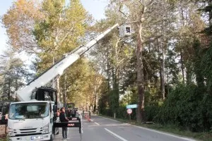 TERMAL YOLU