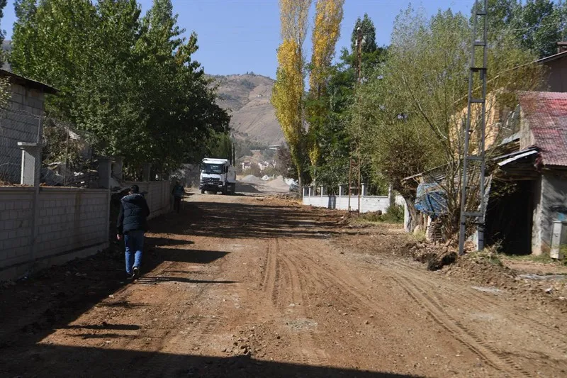 Muş