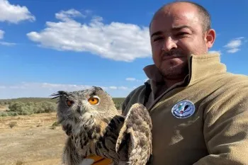 Yaralı Puhu Kuşu Tedavisi Tamamlandı, Doğaya Salındı