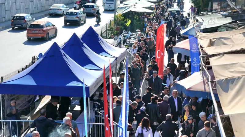 Ata Tohumları Aydın