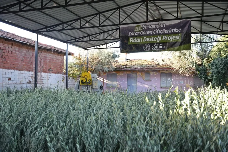 Manisa Büyükşehir, Akhisar