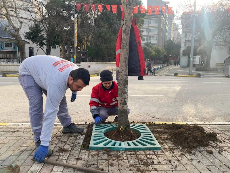 HEMŞEHRİLERİMİZİN RAHATÇA YÜRÜYEBİLECEĞİ BİR ÇEVRE OLUŞTURUYORUZ