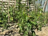 KÂĞITHANE BELEDİYESİ