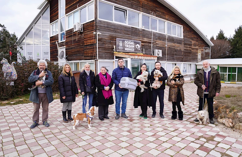 57 PATİLİ DOST SICAK YUVASINA KAVUŞTU