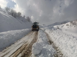 5 ilçede 61 mahallenin yolu kardan temizlendi