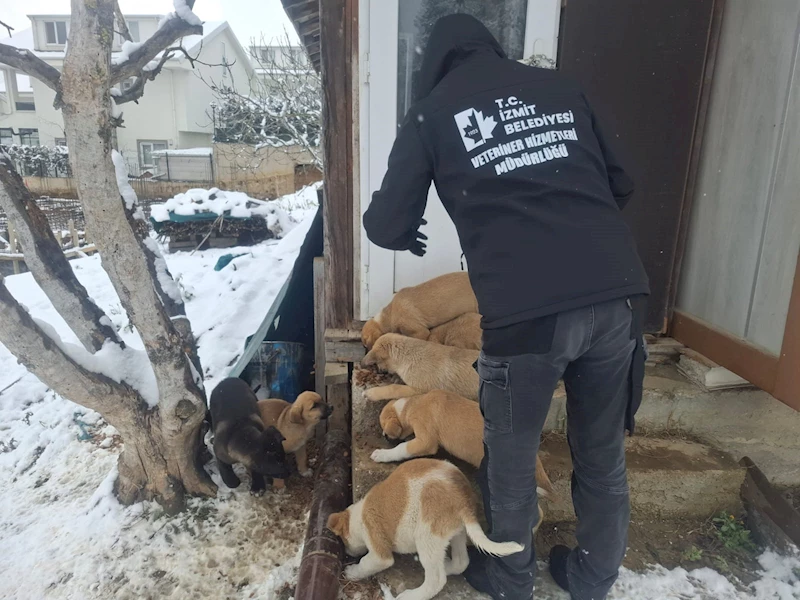 İZMİT BELEDİYESİNDEN SOĞUK GÜNLERDE SICAK DESTEK