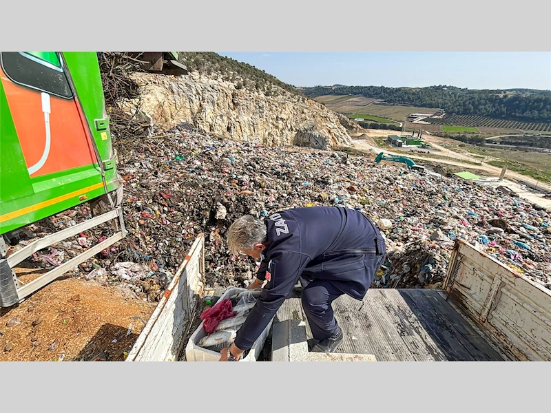 TARSUS ZABITASININ DİKKATİNDEN KAÇMADI: SAĞLIĞI TEHDİT EDEN 750 KİLOGRAM BALIK ELE GEÇİRİLDİ