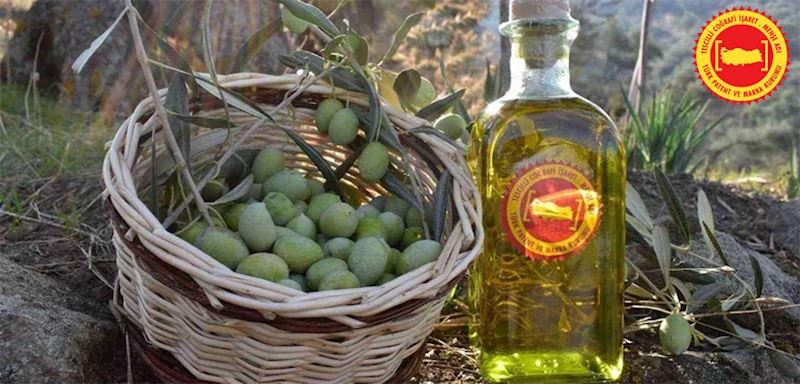 BAKAN YUMAKLI, AYDIN MEMECİK ZEYTİNİ’NİN AB