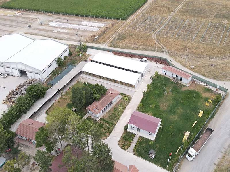 ODUNPAZARI BELEDİYESİ HAYVAN MEZARLIĞI VE BARINAK İÇİN MÜCADELE VERİYOR