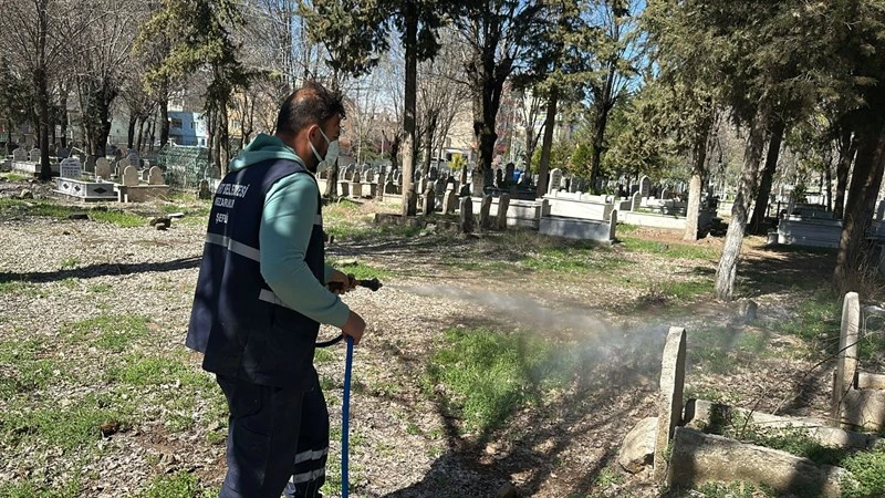 SİİRT’TE ŞEHİR MEZARLIKLARINDA İLAÇLAMA, TEMİZLİK VE BAKIM ÇALIŞMALARI BAŞLADI