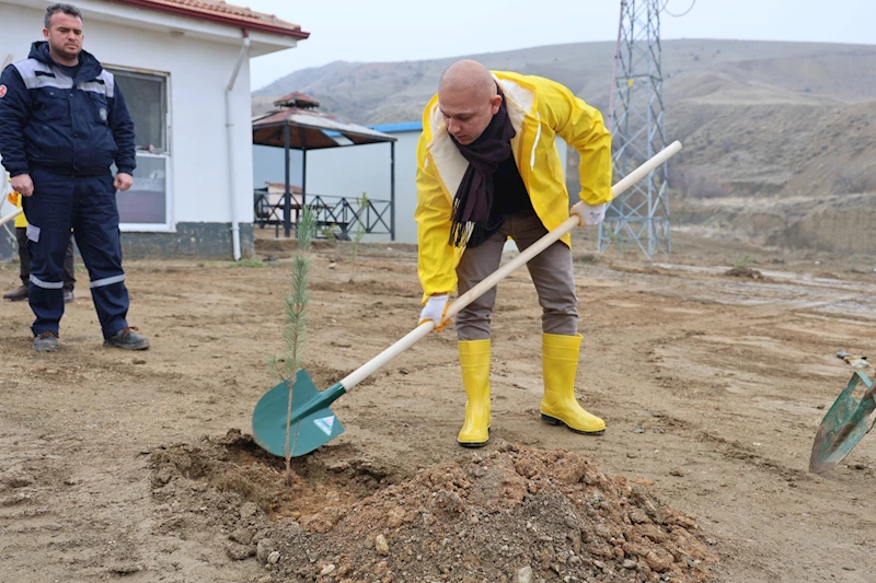 KIRIKKALE BELEDİYESİ, “DAHA YEŞİL BİR KIRIKKALE” İÇİN 25 BİN FİDANI ÜCRETSİZ DAĞITIYOR