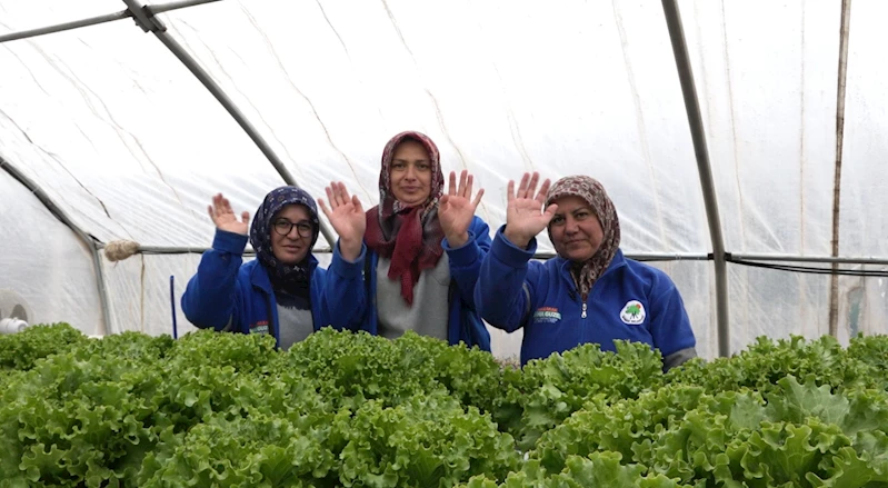 İlham Veren Kadının Öyküsü