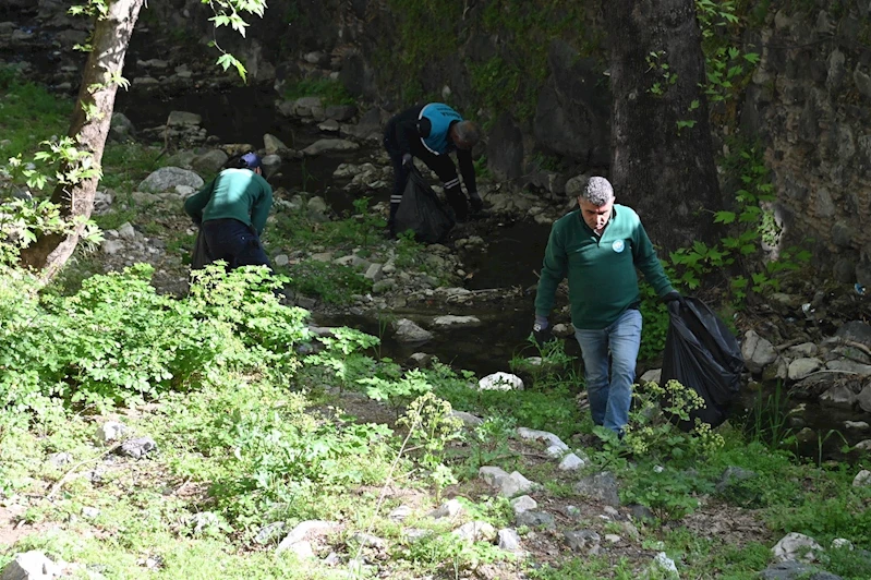 Çaybaşı Deresi’nde temizlik ve ağaçlandırma