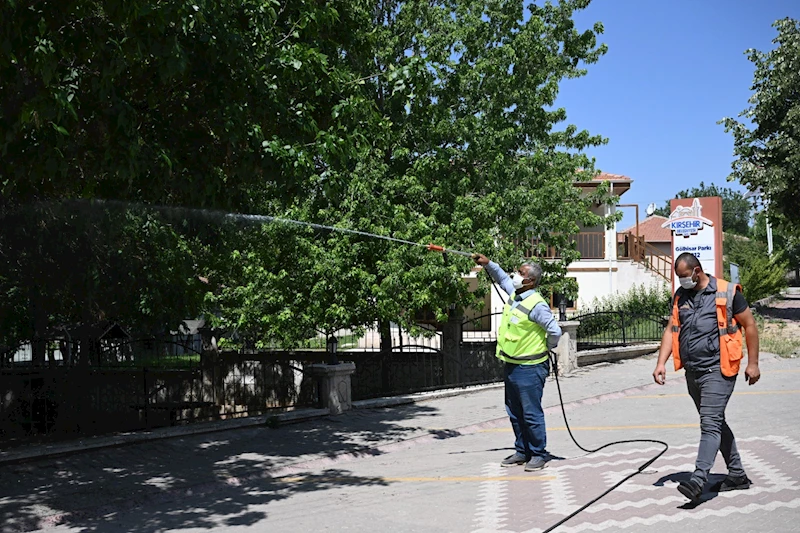 KIRŞEHİR BELEDİYESİ VETERİNER İŞLERİ MÜDÜRLÜĞÜ, ŞEHRİMİZİN MUHTELİF YERLERİNDE İLAÇLAMA İŞLEMİ YAPIYOR