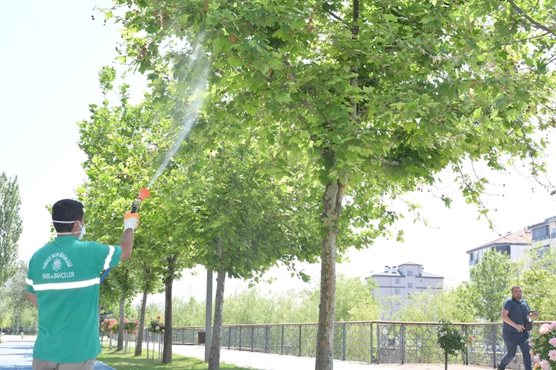 AKSARAY BELEDİYESİ SİVRİSİNEK VE HAŞEREYE KARŞI YAZ BOYU SAHADA OLACAK