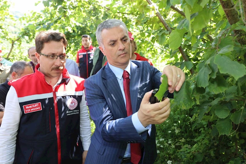 BAŞKANIMIZ KAHVERENGİ KOKARCAYLA MÜCADELE KAPSAMINDA GERÇEKLEŞTİRİLEN PROGRAMA KATILDI
