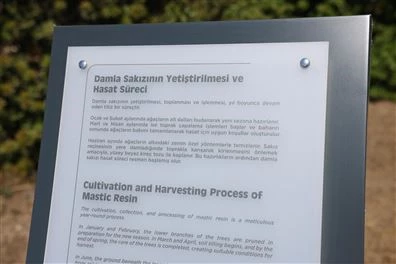 Park Sakız Alaçatı & Sakız Yolculuğu Sergi Salonu açıldı!