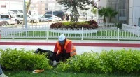 Kepez’den yeşil alanlara özenli dokunuş