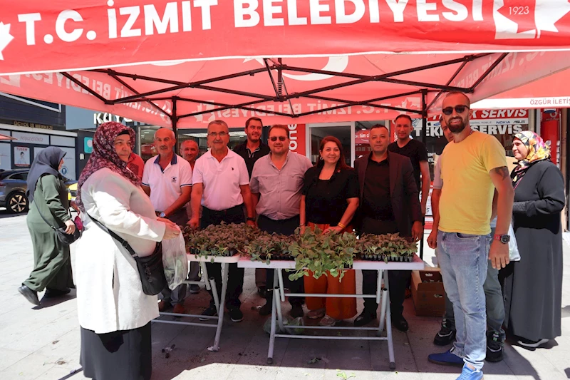 İZMİT BELEDİYESİNDEN VATANDAŞLARA FİDE HEDİYESİ