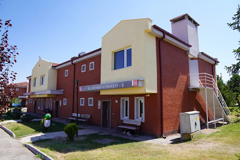 ALZHEIMER HASTALARI TEPEBAŞI
