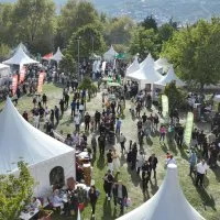 Bursa