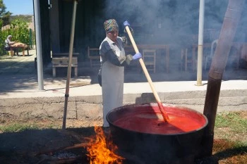 BÜYÜKŞEHİRDE YEREL TOHUMLAR LEZZETE DÖNÜŞÜYOR